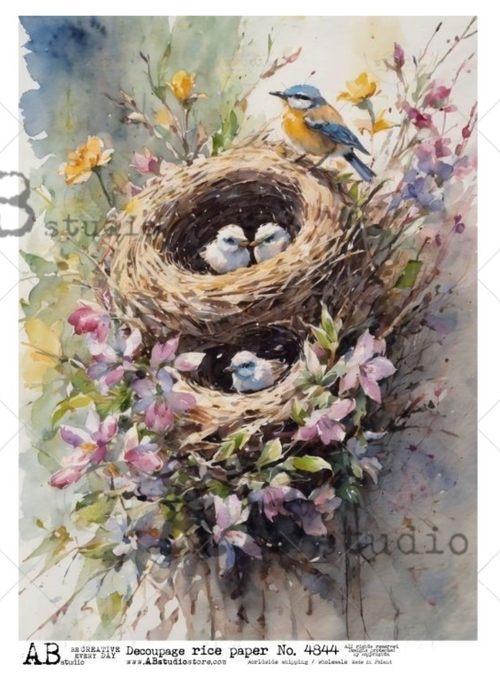 A4 Birds in Nest Rice Paper 4844