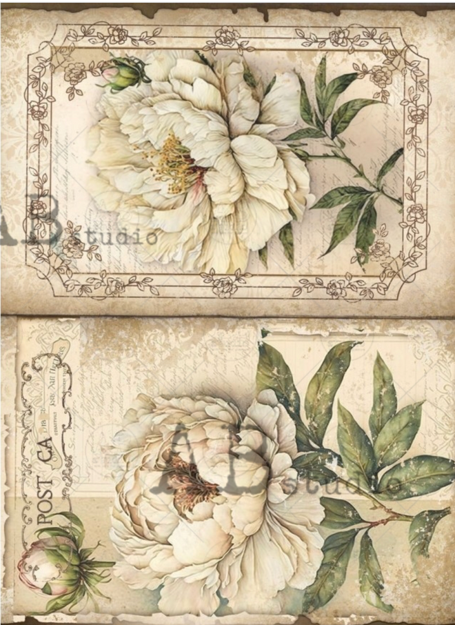 A4 175 Creamy Roses Rice Paper ID 75