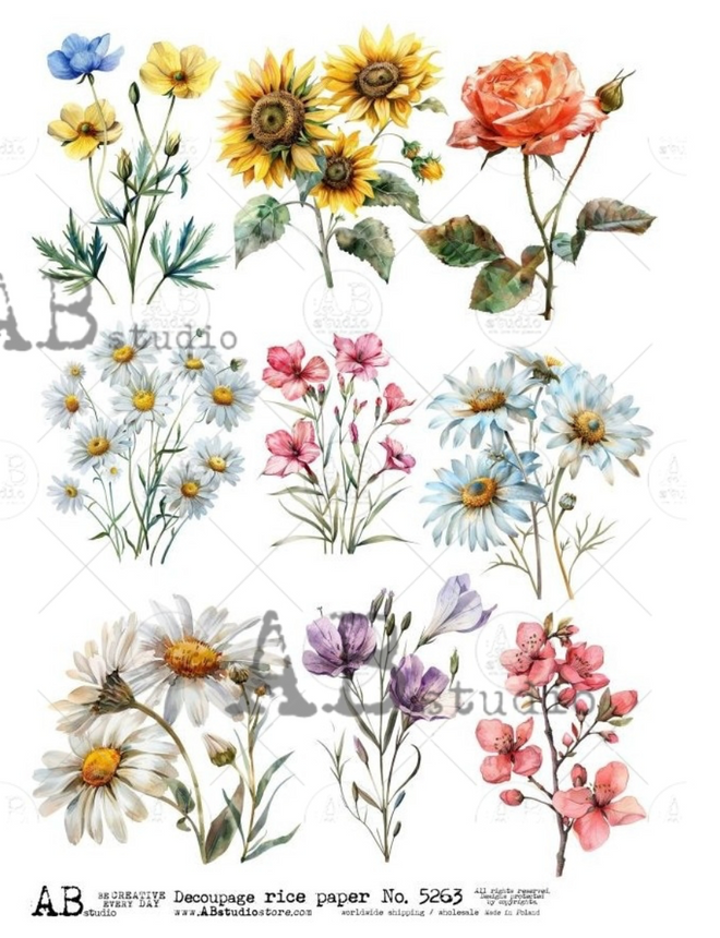 A4 AB Daisies Rice Paper 5263