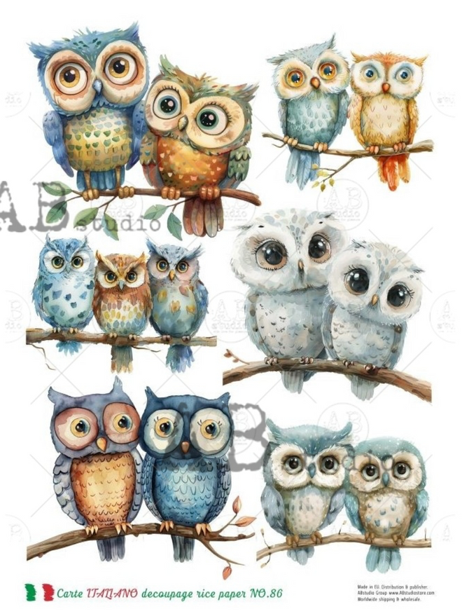 A4 Cartoon Owls Carte Italiano 86