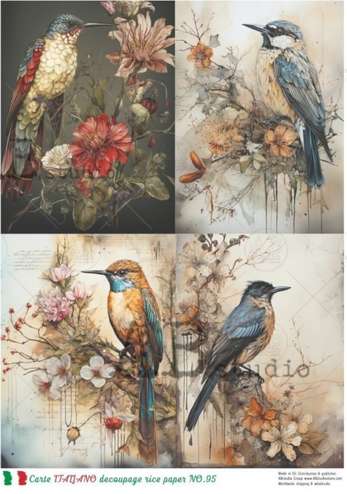 A4 Dramatic Birds Quad Carte Italiano 95