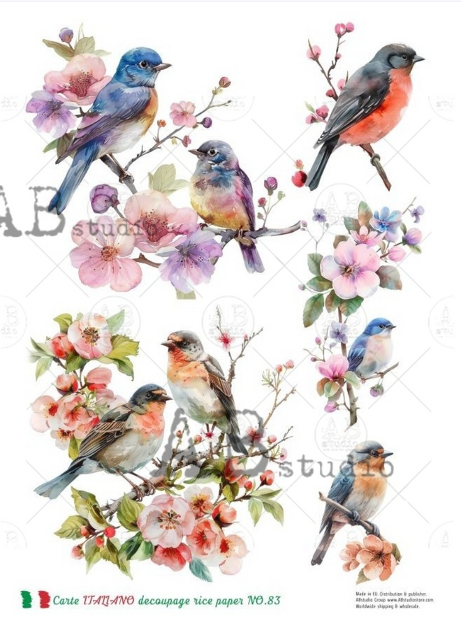 A4 Beautiful Bird Collection Carte Italiano 83