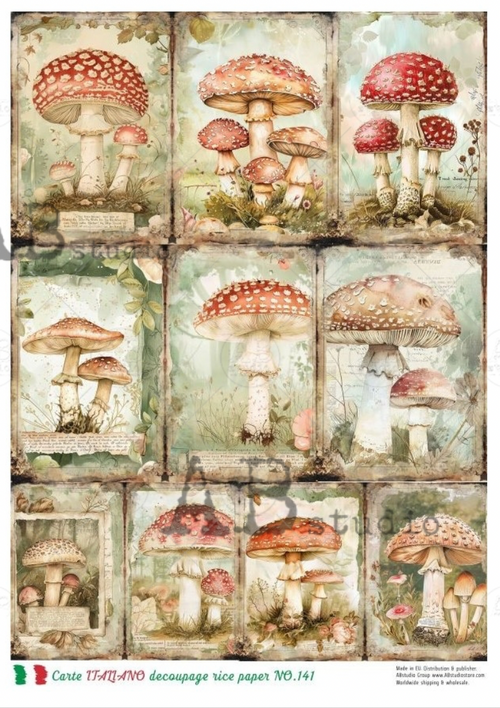 A4 More Colorful Mushrooms Carte Italiano 141