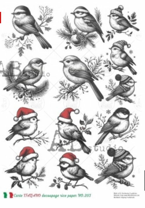 A4 Sketch Christmas Birds Carte Italiano 203