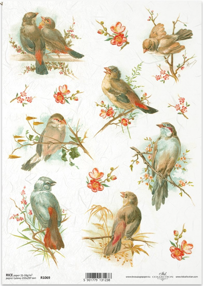 ITD A4 Rice Paper Simply Birds R1069