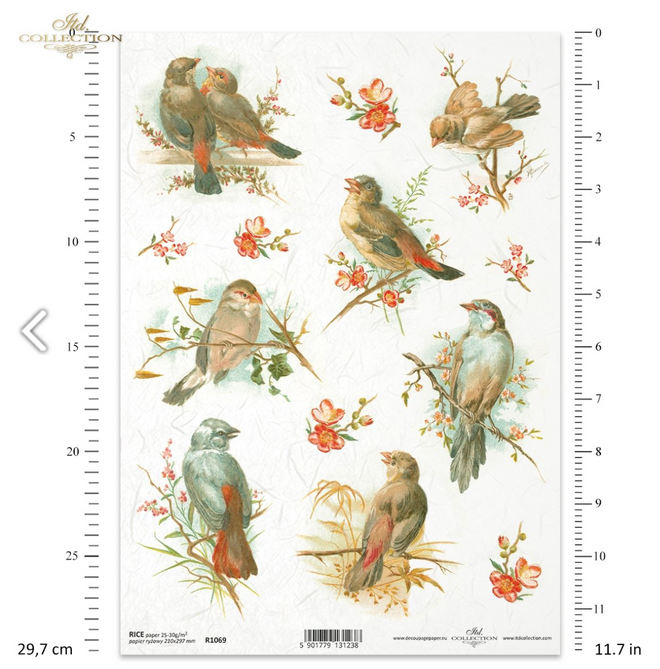 ITD A4 Rice Paper Simply Birds R1069