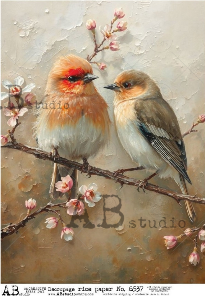 A4 Spring Birds AB Studios 6537