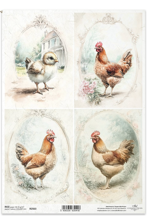A4 Rustic Vintage HEN Quad Decoupage Paper R2563