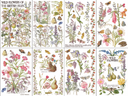 IOD Primrose Aisle , Rub on Transfer 12" x 8" Pad