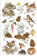 IOD The Bramblewood Diaries Rub on Transfer 12" x 8" Pad