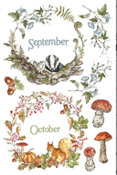 IOD The Bramblewood Diaries Rub on Transfer 12" x 8" Pad