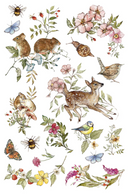 IOD The Bramblewood Diaries Rub on Transfer 12" x 8" Pad