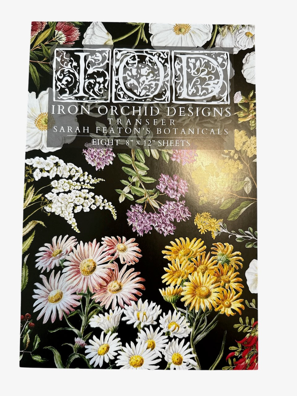 IOD SUMMER 2025 – Decoupage Central