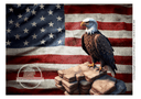 A3 American Flag with Eagle Rice Paper DC5003 - Decoupage Central