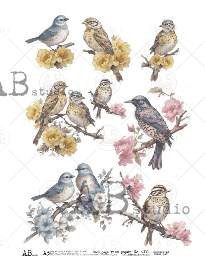 A3 Beautiful Birds Rice Paper, AB Studios 4111 - Decoupage Central