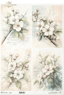 A3 ITD R1426L Apple Blossom Study Sheets Decoupage Paper - Decoupage Central