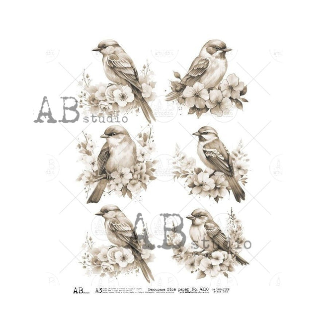 A3 Soft Songbirds in Sepia Rice Paper, AB Studios 4110 - Decoupage Central