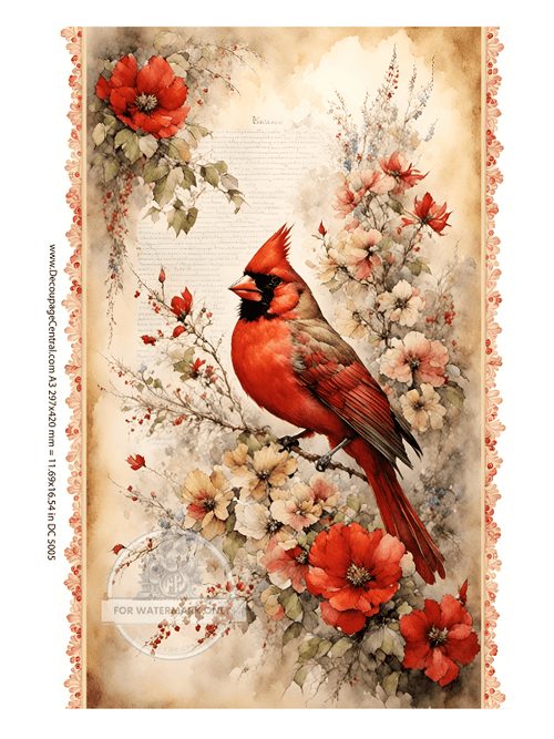 A3 Spring Cardinal Rice Paper DC5005 - Decoupage Central