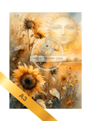 A3 Sunflowers By Day Rice Paper DC5051 - Decoupage Central