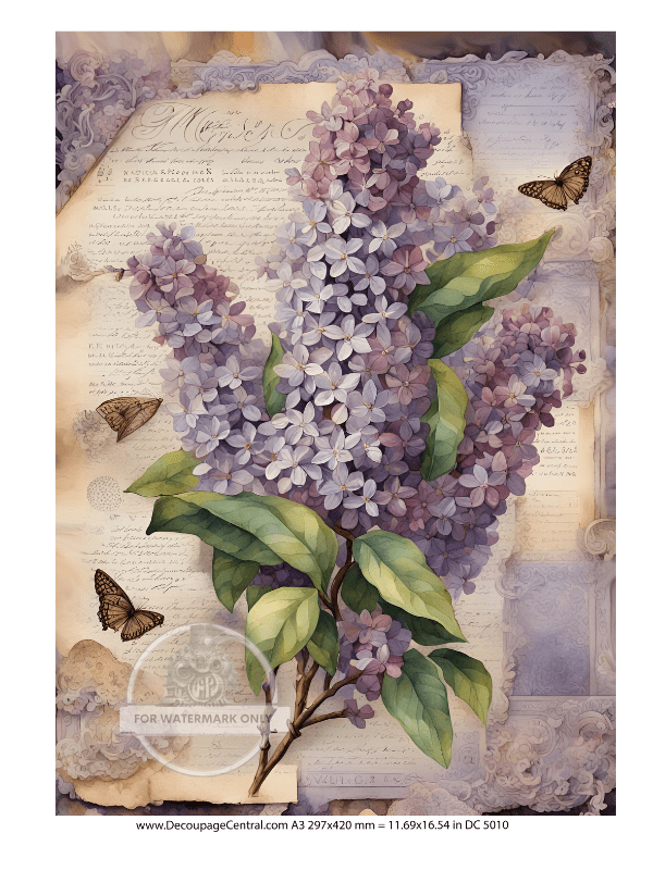 A3 The Lilacs Rice Paper DC5010 - Decoupage Central