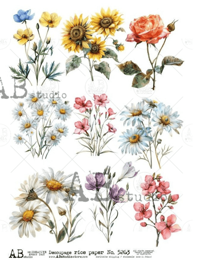 A4 AB Daisies Rice Paper 5263 - Decoupage Central