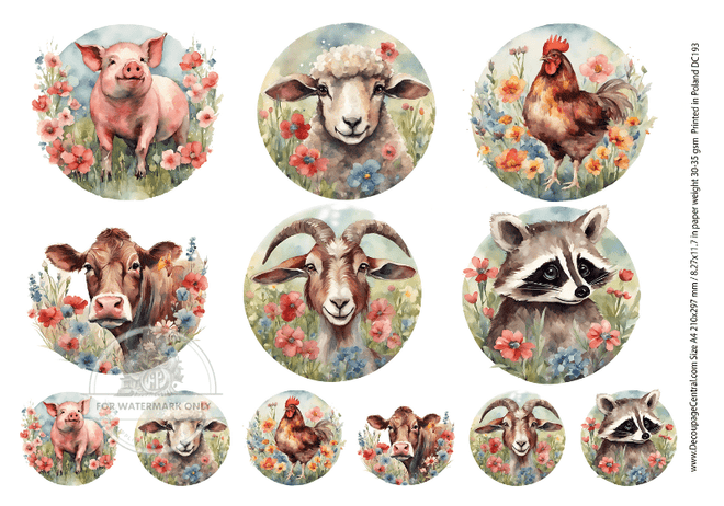 A4 Barnyard Circles Rice Paper DC193 - Decoupage Central