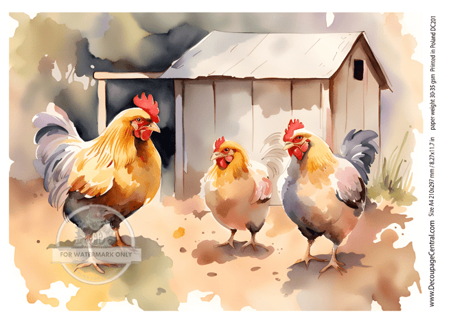A4 Barnyard Meeting Rice Paper DC201 - Decoupage Central