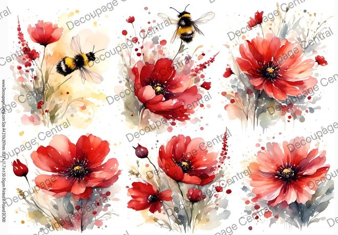 A4 Bee - Kissed Poppies Paper DC900 - Decoupage Central