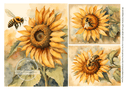 A4 Bee n Sunflowers Rice Paper DC338 - Decoupage Central