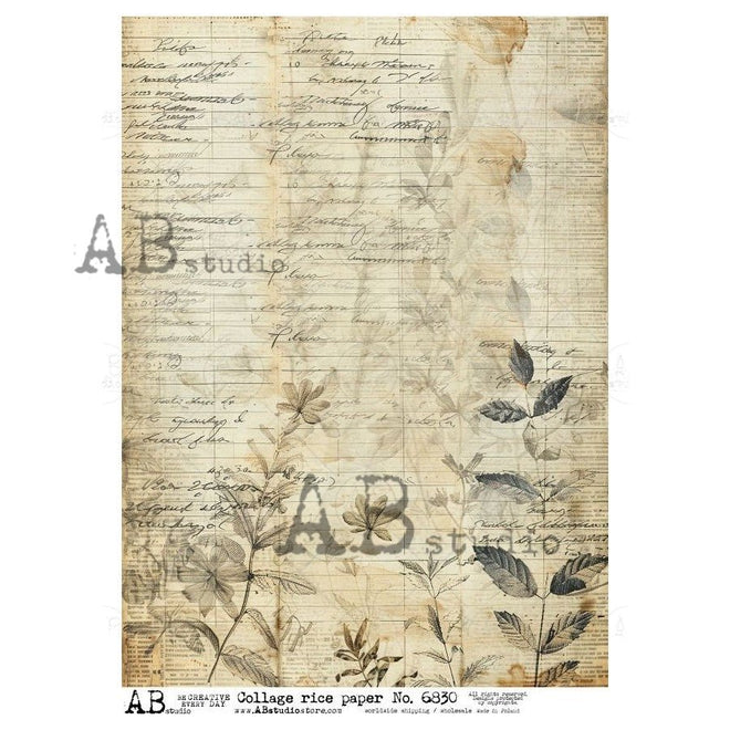 A4 Botanical Ledger Rice Paper AB Studios 6830 - Decoupage Central