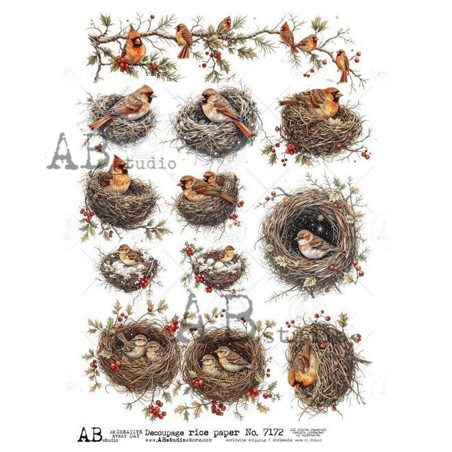 A4 Cardinal Nests & Winter Sprigs AB Studios 7172 - Decoupage Central