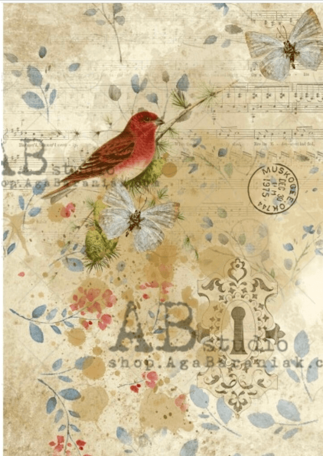 A4 Cardinal Rule Rice Paper AB Studios 0408 - Decoupage Central