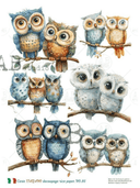 A4 Cartoon Owls Carte Italiano 86 - Decoupage Central