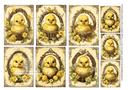 A4 Chicks in Baskets Multi Rice Paper DC 274 - Decoupage Central
