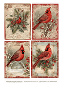 A4 Christmas Cardinal Collection 4 images one page Rice Paper DC115 - Decoupage Central