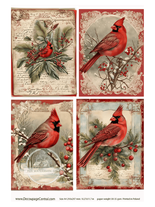 A4 Christmas Cardinal Collection 4 images one page Rice Paper DC115 - Decoupage Central