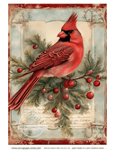 A4 Christmas Cardinal on Teal Rice Paper DC116 - Decoupage Central