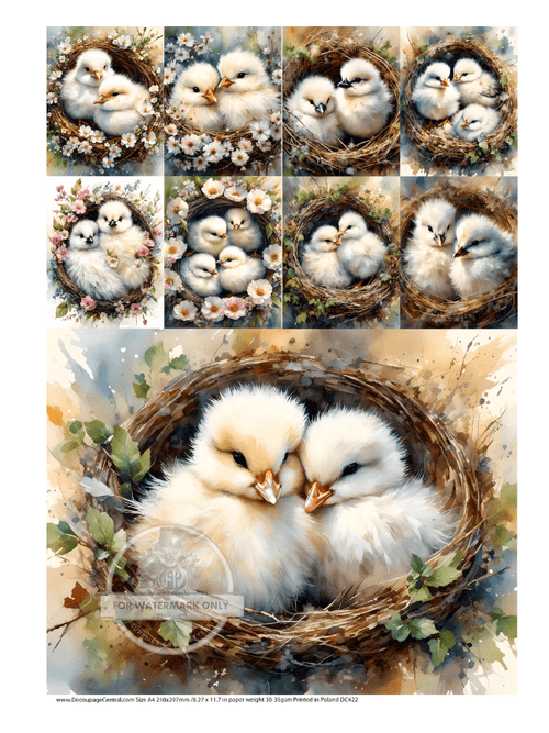 A4 Cute and Cuddly Nest Multi Rice Paper DC422 - Decoupage Central