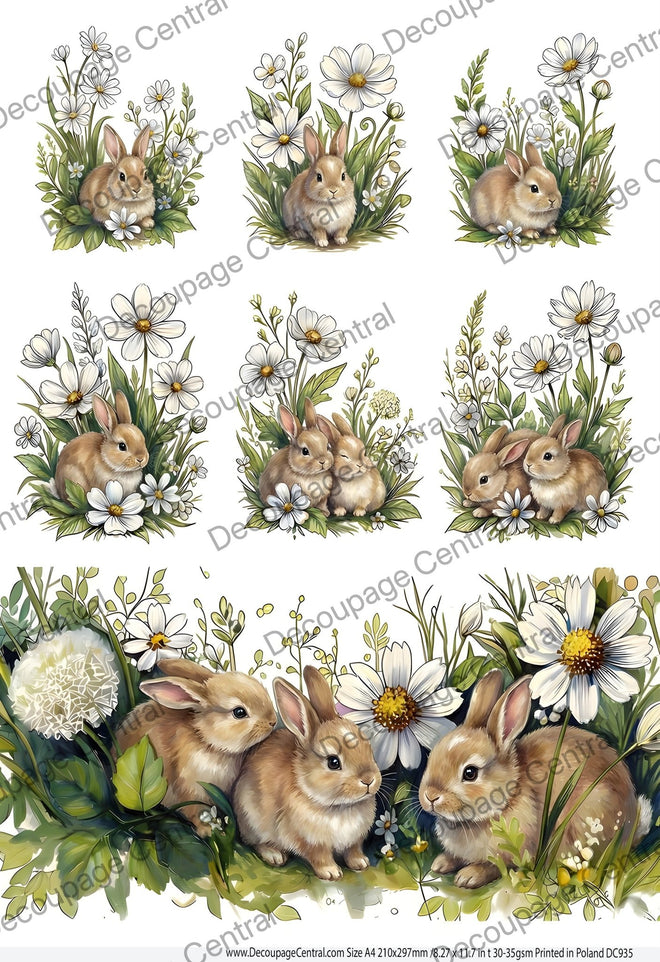 A4 Daisy Meadow Bunnies Rice Paper DC935 - Decoupage Central