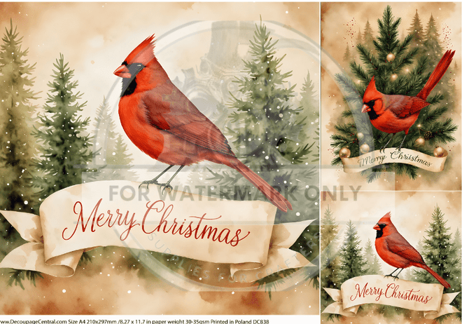 A4 DC838 Merry Cardinal Trio Rice Paper - Decoupage Central