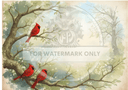 A4 DC854 Storybook Cardinal PRINT Rice Paper - Decoupage Central