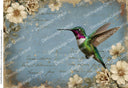 A4 DC975 Hummingbird in Blue Bloom Rice Paper for decoupage - Decoupage Central