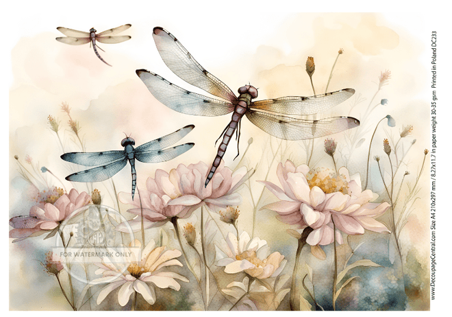 A4 Dragonfly Fields Rice Paper DC233 - Decoupage Central