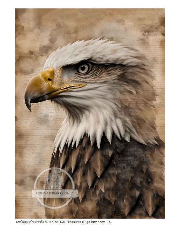 A4 Eagle Portrait Rice Paper DC382 - Decoupage Central