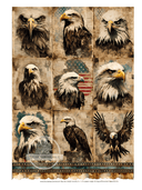 A4 Eagle Portraits Rice Paper DC424 - Decoupage Central