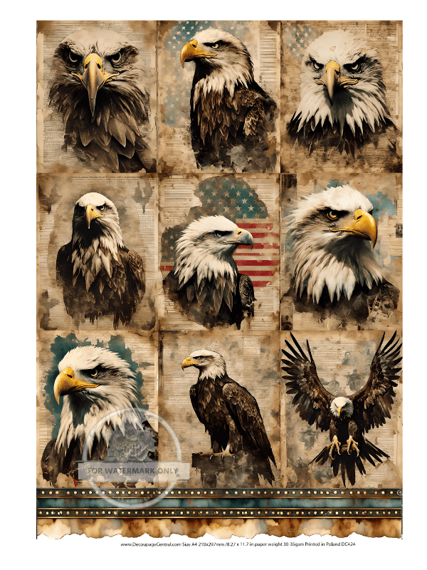 A4 Eagle Portraits Rice Paper DC424 - Decoupage Central