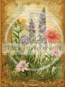 A4 Farmers Almanac Botanical Edition Rice Paper DC725 - Decoupage Central
