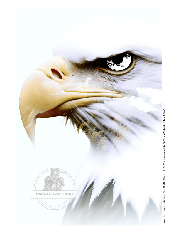 A4 Flyover Country Rice Paper DC467 - Decoupage Central