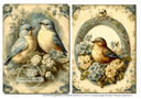 A4 Framed Birds Duo Rice Paper DC 277 - Decoupage Central