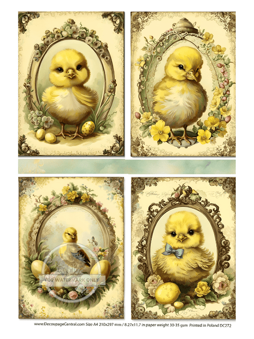 A4 Framed Chicks Multi Rice Paper DC 272 - Decoupage Central
